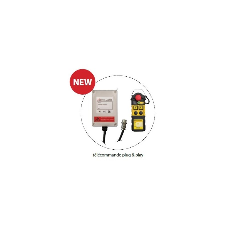 Radio commande standard pour palan 230V