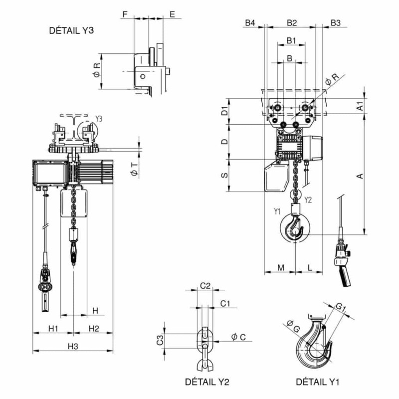 plan palan électrique RWM à chariot manuel - 1000 Kg - bi vitesse 1 et 4 m/min